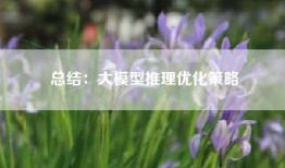 总结：大模型推理优化策略