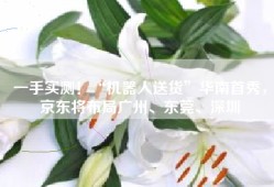 一手实测！“机器人送货”华南首秀，京东将布局广州、东莞、深圳