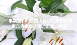 一手实测！“机器人送货”华南首秀，京东将布局广州、东莞、深圳