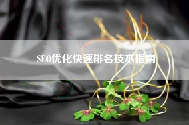 SEO优化快速排名技术指南