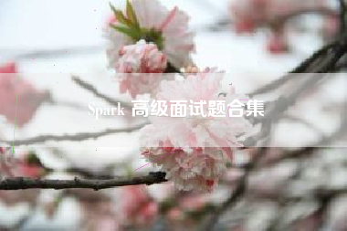 Spark 高级面试题合集