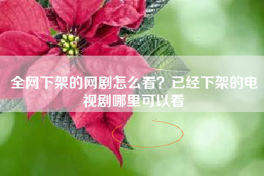 全网下架的网剧怎么看？已经下架的电视剧哪里可以看