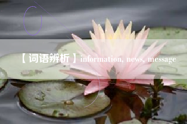 【词语辨析】information, news, message