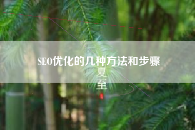 SEO优化的几种方法和步骤