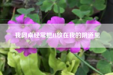 我同桌经常把JJ放在我的阴道里