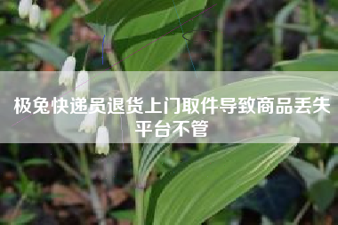 极兔快递员退货上门取件导致商品丢失平台不管