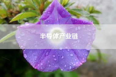 半导体产业链