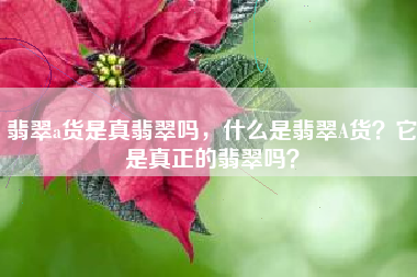 翡翠a货是真翡翠吗，什么是翡翠A货？它是真正的翡翠吗？