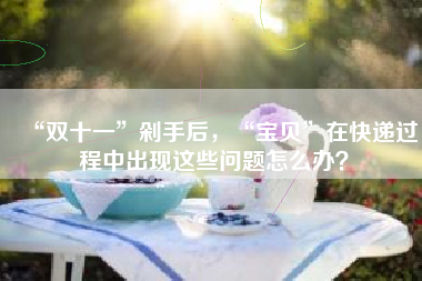 “双十一”剁手后，“宝贝”在快递过程中出现这些问题怎么办？