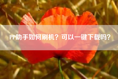 PP助手如何刷机？可以一键下载吗？