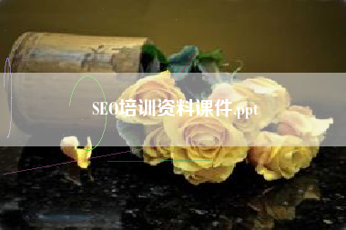 SEO培训资料课件.ppt