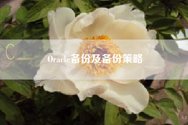 Oracle备份及备份策略