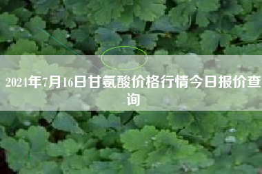 2024年7月16日甘氨酸价格行情今日报价查询