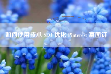 如何使用技术 SEO 优化 Pinterest 富图钉