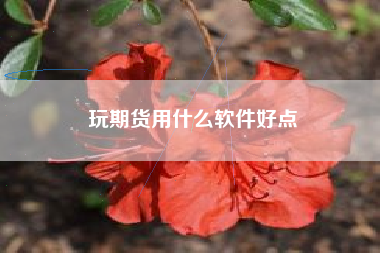 玩期货用什么软件好点