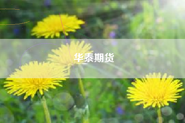 华泰期货