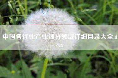 中国各行业产业细分领域详细目录大全.docx