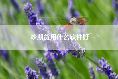 炒期货用什么软件好