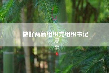 做好两新组织党组织书记