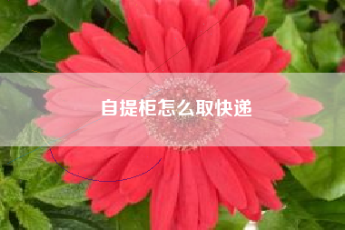 自提柜怎么取快递