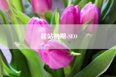 建站初期-SEO