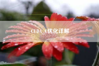 CUDA_C优化详解